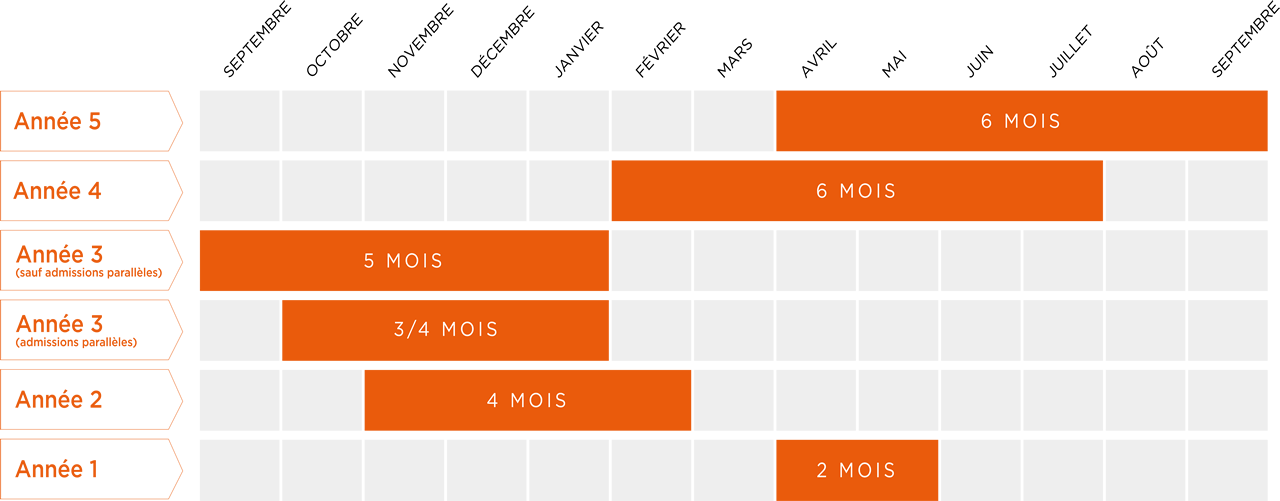 Schéma périodes de stage