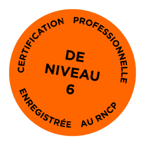 Titre RNCP Niveau 6 - École de commerce et d'art ICART