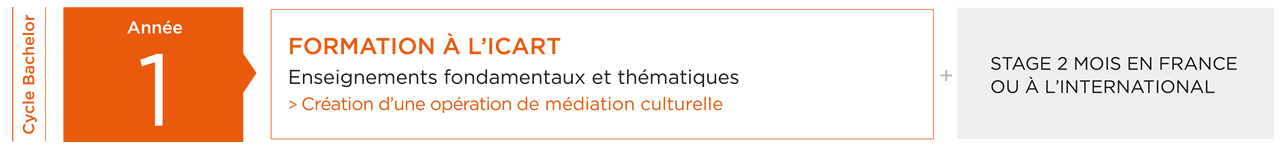 Formation Médiation Culturelle ICART 1e année