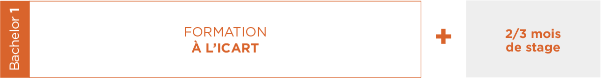 Formation Médiation Culturelle ICART 1e année