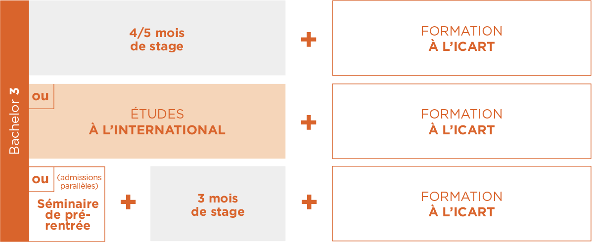 Licence Médiation Culturelle ICART 3e année