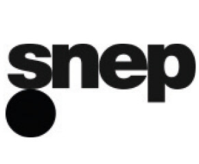 SNEP - Partenaire école du management de la culture et du marché de l'art ICART